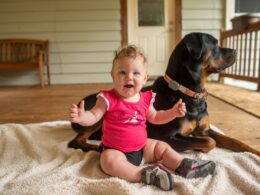 baby and a rottweiler